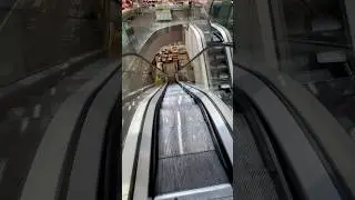 Trento, Italy | Schindler Escalator | Spar