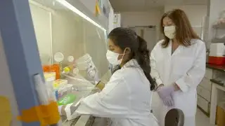 Global and Online Research Internships