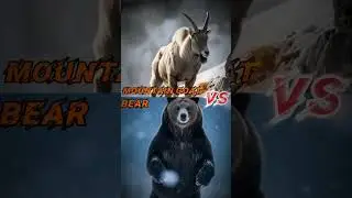 Mountain Goat vs Predators &mdash; Battle on the Edge