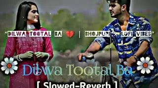 Dilwa Tootal Ba |Bhojpuri &times; Lofi| #lofi #music @Treznor_Lofi