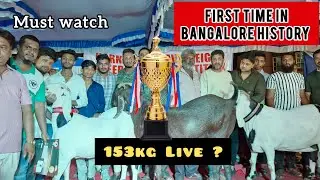 Show Day Karnataka Heavyweight Sheep And Goat Competition Organized by Taj Farm Kunigal