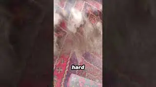 сколько пыли может удерживать ковер