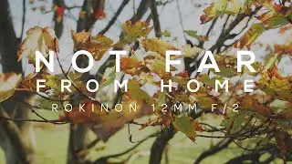 Not Far From Home || G85 & Rokinon 12mm F/2 || Panasonic Cinematic
