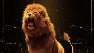 Lion's Share Smart Contract Explained in just 2 minutes