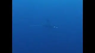 Pulau Weh, Sabang Diving Trip April 2019