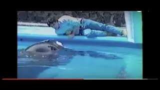 LCA Founder Chris DeRose in&nbsp;One of the First&nbsp;Expos&eacute;s of&nbsp;Orca Captivity