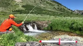 Pocket Ninja Tenkara rod is a Fly Fisher's Best Friend on KickStarter