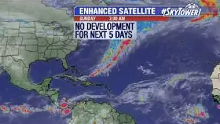 Tropical weather forecast: November 10, 2019