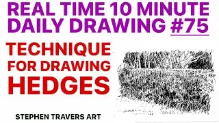 Easy Way to Draw Hedges That Look Real