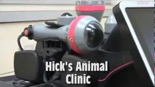 SBOTM: Hicks Animal Clinic