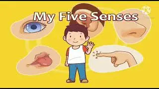 youtube growth tips, abc song #Pinki rohit, cocomelon