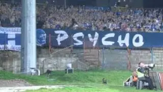 Polonia Bytom - Ruch Chorzów (18.09.2010 r.)