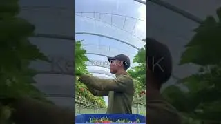 Kerja Di UK inggris