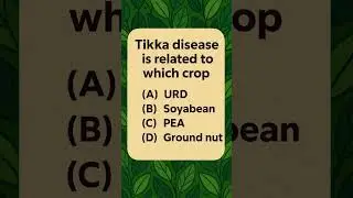 TIKKA diseases #agriculture #upcatet2025