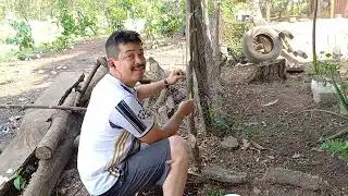 Mi esposo me arregla mi jardin, lo prometio y lo esta cumpliendo 🙏🥹