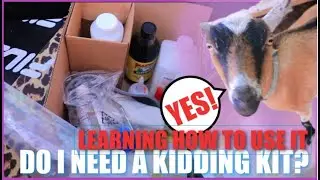 What's in my kidding kit| Do you need one? How do you use it?