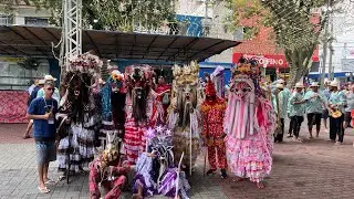 Folia de Reis Sr.Paulino (Folia do Morro) 2025-2026