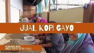 Distributor Kopi Arabika Gayo Green Bean, Semi Wash, Full Wash  di Aceh 0822-5375-5733 (Tsel)