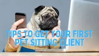 Pet sitting: How to get your first client?