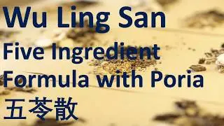 80 Wu Ling San (Five Ingredient Formula with Poria) - Promote urination to drain Damp五苓散 - 中医 中药 方剂