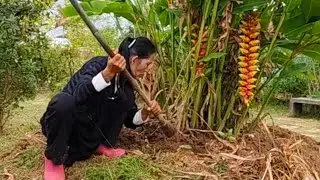Before planting flowers, prepare the soil to be fragrant.