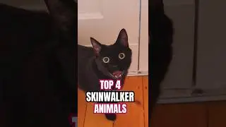 Is this a skinwalker?! #animals #skinwalker #scary