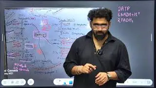 Respiration & Energy Transfer | ETS, Summary & Anaerobic | Class 11 | HSC & CBSE | Rajat Thawani