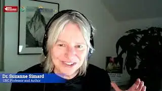 The Wisdom of the Forest - Dr. Suzanne Simard