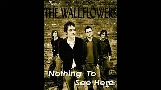 The Wallflowers   Nothing To See Here