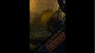 2 Year Old Rides the Fishpipe