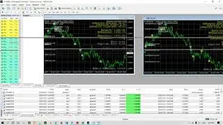 New Forex Bot with 95% Accuracy.50$-100$ Daily with lot size 0.01