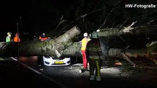 Bomen op auto's en woning na valwind in Zwartsluis