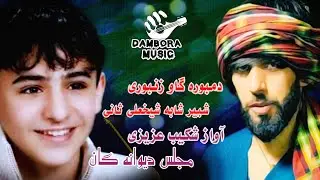 دمبوره گاو زنبوری تغه شیخعلی و آواز خوان شکیب عزیزی  Best Top Dambora Qatghani Shabir Shaba #foryou