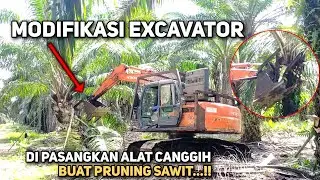 Cara Excavator Pruning Sawit Di Pasangkan Alat Canggih Khusus Buat Pruning Kelapa Sawit