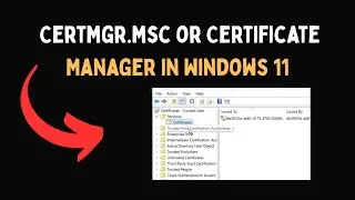 Certmgr msc или диспетчер сертификатов в Windows 11