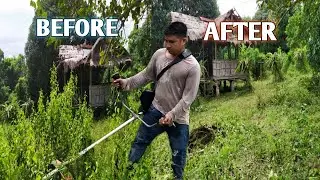 CLEANING MY LATE AUNTIE'S DRAGON FRUIT FARM | PROMDI BOY | LIFE IN THE PROVINCE