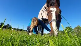 A crisp, beautiful morning with my bestest bay friend 🧡 