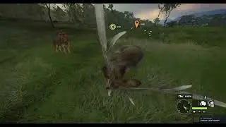 Guarantee Diamond Hog Deer | theHunter  Call of the Wild 2024 09 07
