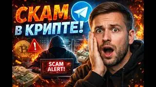 Скам в крипте: деньги в доверительное управление трейдерам из телеграма