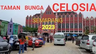 WISATA TAMAN BUNGA CELOSIA SEMARANG