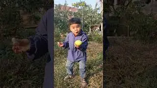 Funny Babies 😊 Lộc cute