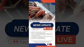 Seafood Traceability #traceability