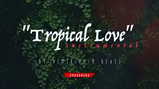 (Type Beat) TROPICAL LOVE  Instrumental 🌴 l Dancehall Pop 2018 l prod by DemsRiddim Beats l