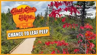 Just One More... Chance to Leaf Peep