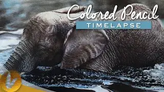 Realistic African Elephant Colored Pencil Drawing | Timelapse