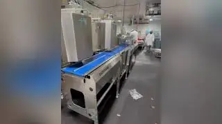 Bizerba Label Applicator for food labeling and weigh processing #7331