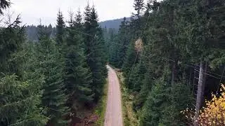 Aerial Perspective Capturing Rugged Dirt Road Cutting Across Thick Pine Forest With Lone