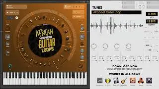 FREE DOWNLOAD Guitar Loop No Drums 100% Royalty Free Guitar Sample Tunis