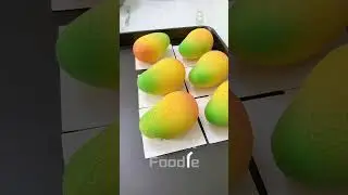 Decorating Mango Cakes