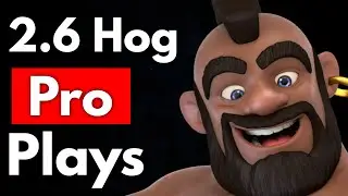 I Dominated TOP Ladder with 2.6 Hog Cycle 